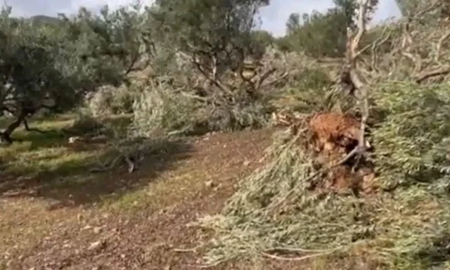 Κλιμακώνουν τις κινητοποιήσεις οι αγρότες στην Καρδίτσα - «Ας έρθει να μας συλλάβει ο εισαγγελέας» Ανεμοστρόβιλος «σάρωσε» τη Ζάκρο – Ζημιές σε ελαιώνες και περιουσίες