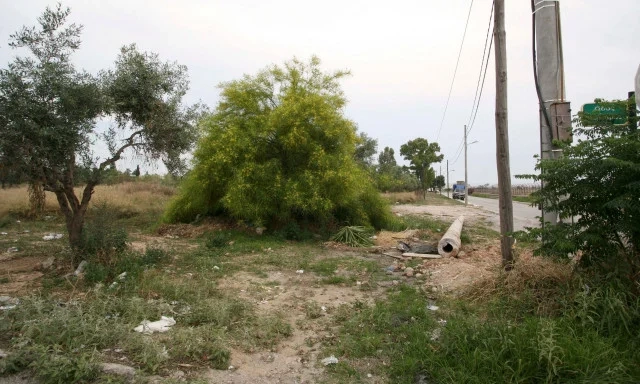 «Ενεργή Μάχη»: Οδηγός για τους καθαρισμούς οικοπέδων - Οι δηλώσεις, η παράταση και τα πρόστιμα «Τυφλά» οικόπεδα: Πώς να αποφύγετε προστριβές με γείτονες - Πλήρης οδηγός