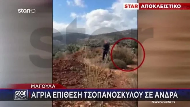 Στιγμές τρόμου για άνδρα στη Μαγούλα - Η στιγμή που του επιτίθεται τσοπανόσκυλο Στιγμές τρόμου για άνδρα στη Μαγούλα - Η στιγμή που του επιτίθεται τσοπανόσκυλο