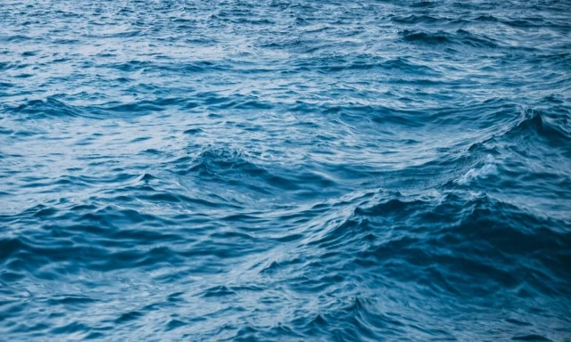 Πώς η Ποσειδωνία Κρατά Ζωντανή τη Μεσόγειο Η θάλασσα ως δείκτης του μέλλοντος